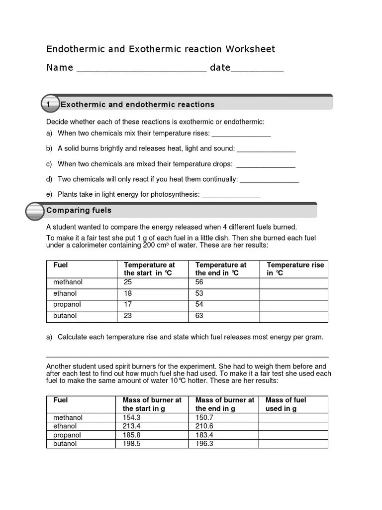 Endothermic and Exothermic Reaction Worksheet PDF