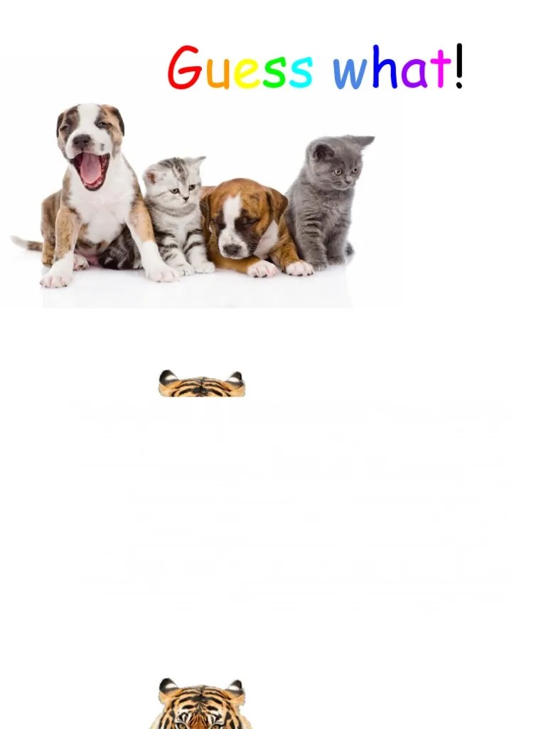 Guessing Game Animals Flashcards 124049 PDF