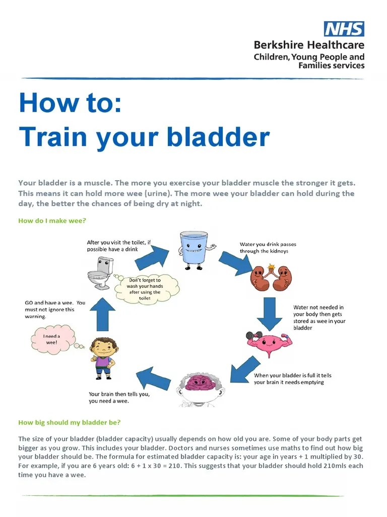 How To Train Your Bladder Oct 21 PDF Drink