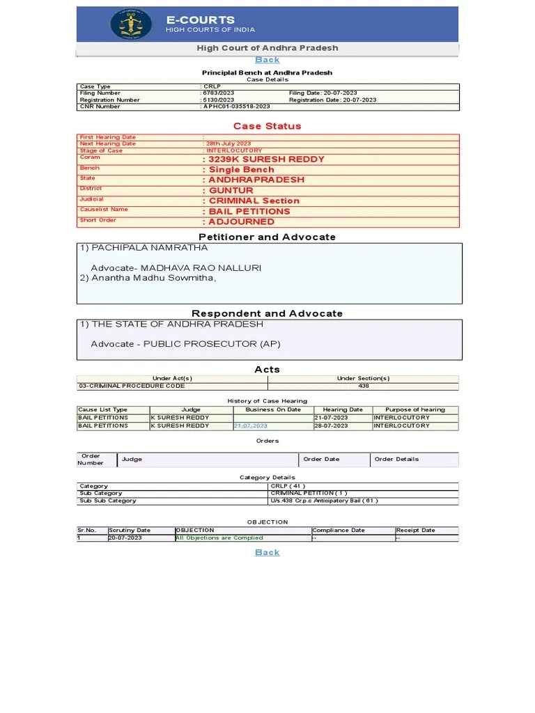 Case Status Search by PetitionersRespondents Name PDF Bail
