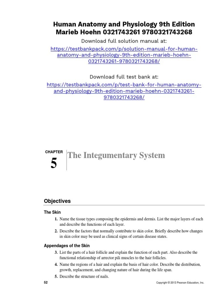Human Anatomy and Physiology 9th Edition Marieb Solutions Manual 1 PDF Skin Epidermis