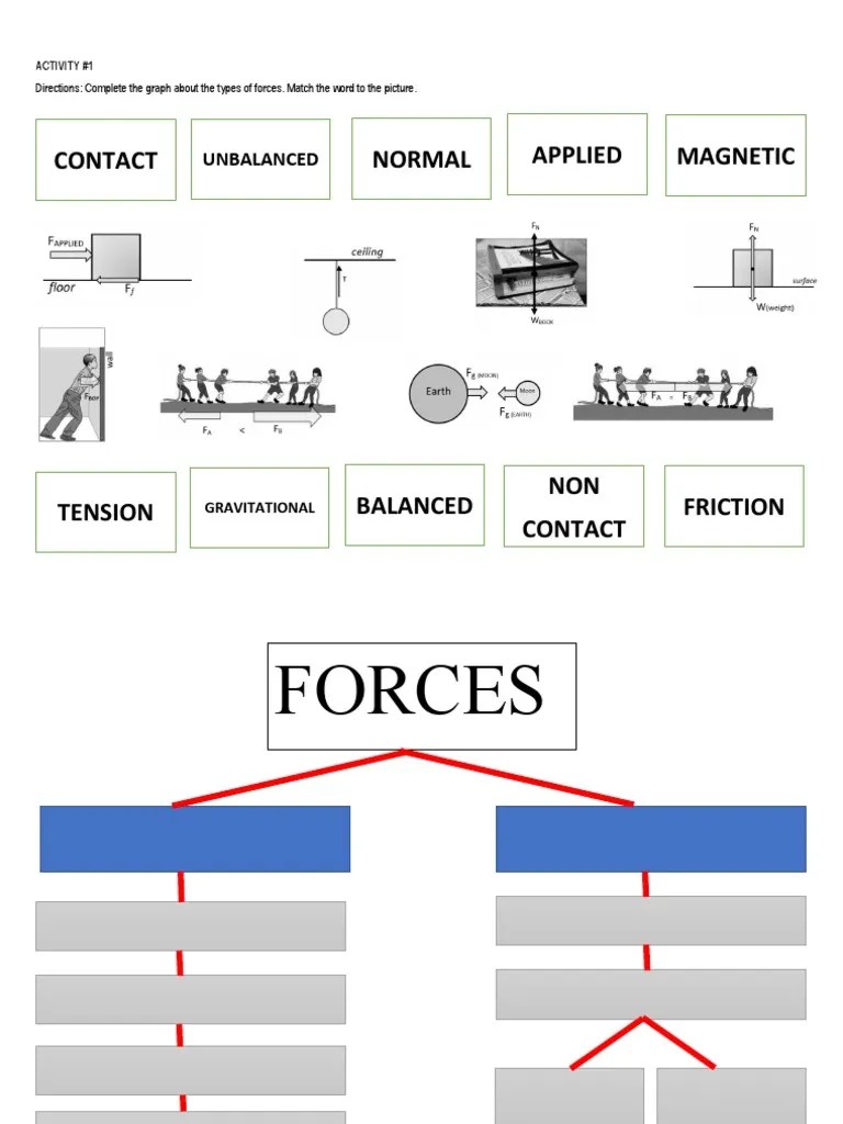 Activity1 Types of Forces PDF