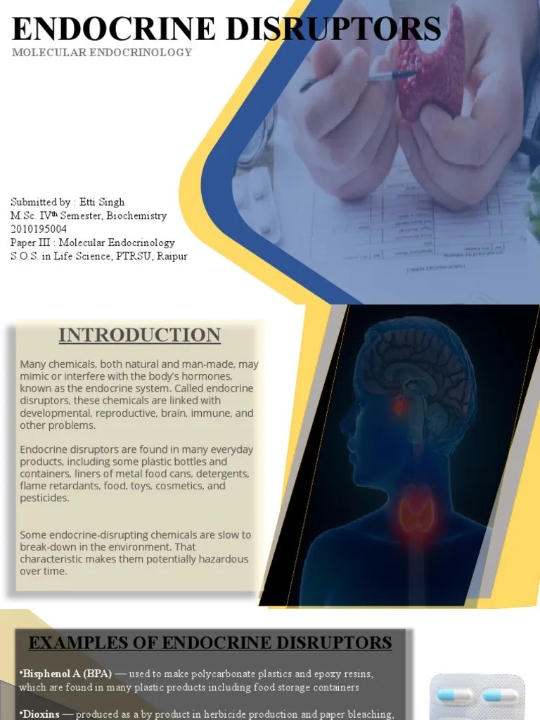 Endocrine Disruptors PDF Endocrine System Chemistry