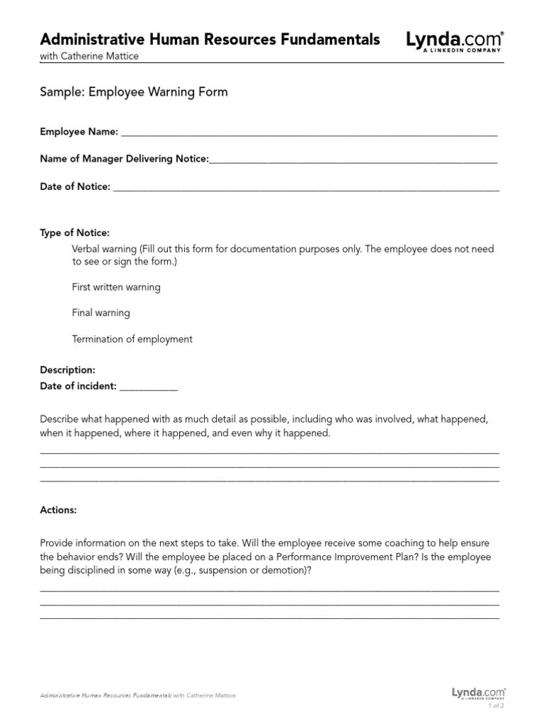 04 04 Disciplinary Form Template PDF Employment Human Resources