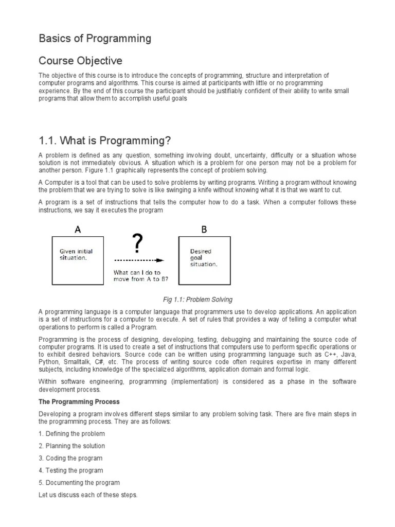 Basics of Programming PDF Software Testing Programming