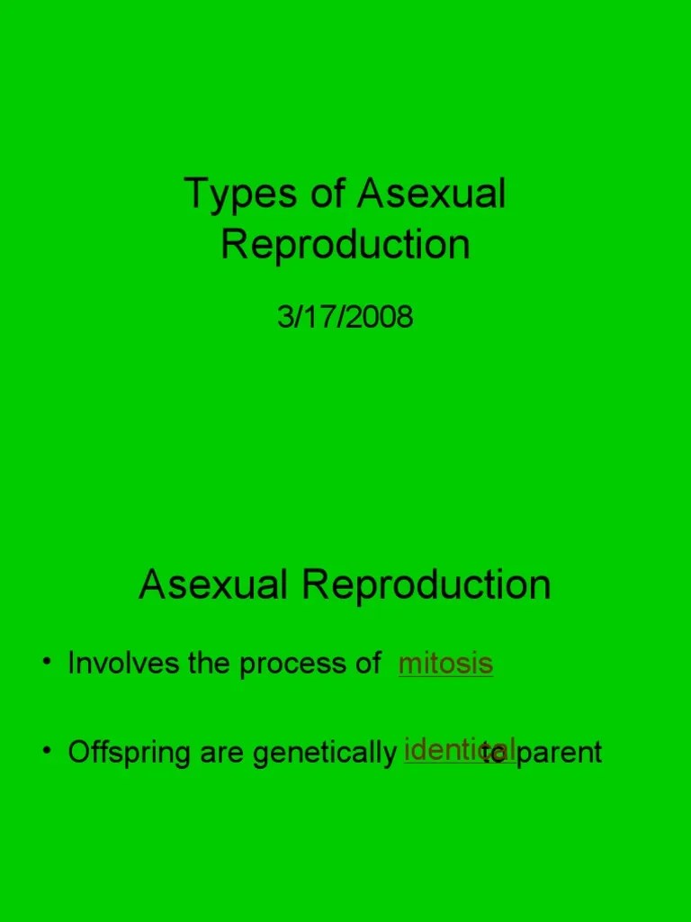 Types of Asexual Reproduction PDF