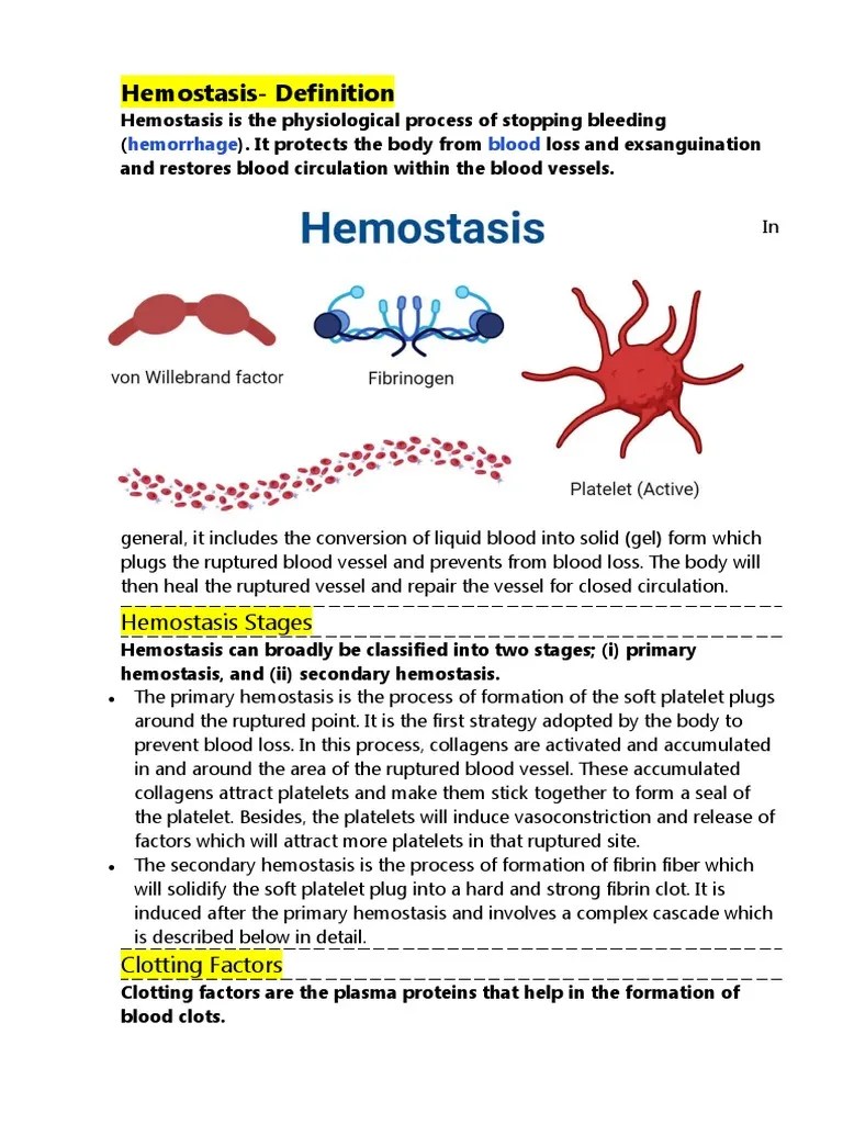 Hemostasis Definition PDF Coagulation Hemostasis