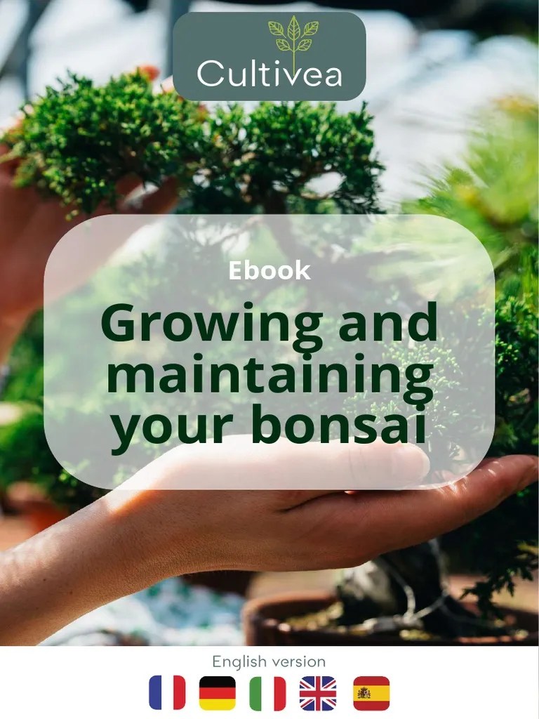 Ebook Bonsai UK PDF Bonsai Trees