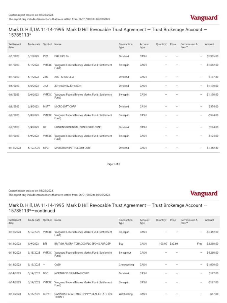 Custom Activity Report PDF The Vanguard Group Investments
