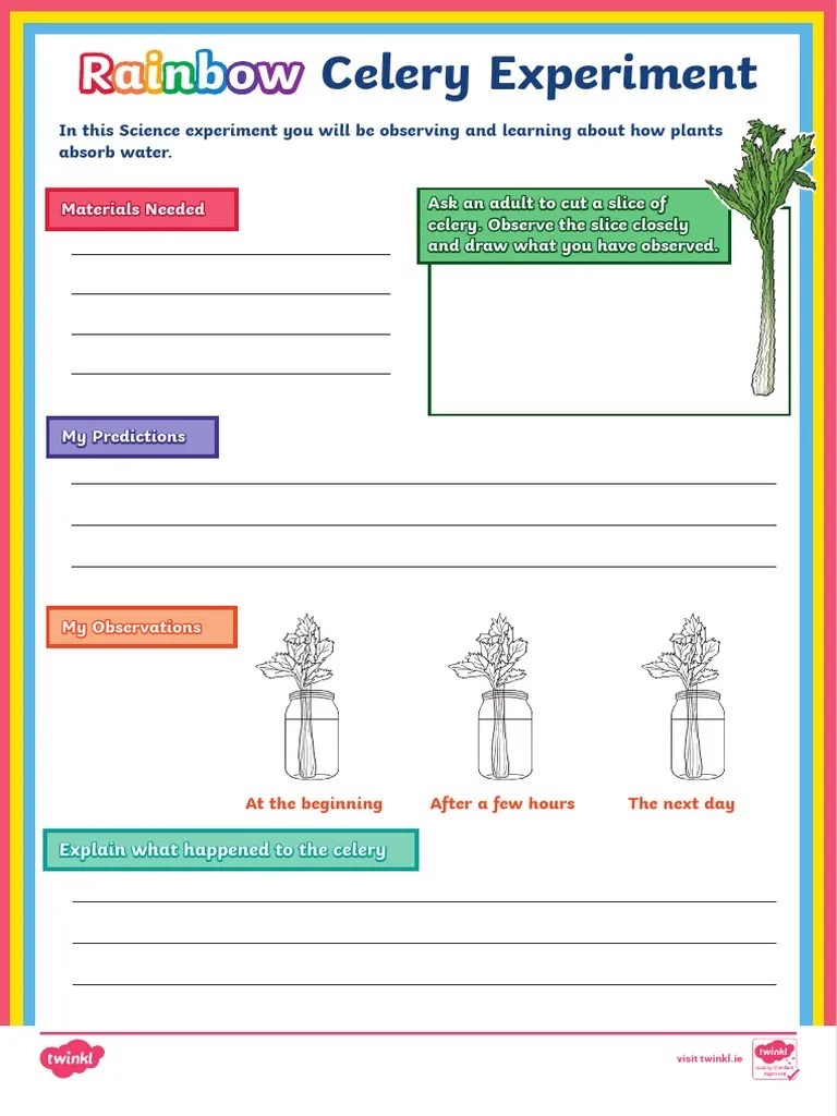 Rainbow Celery Experiment PDF