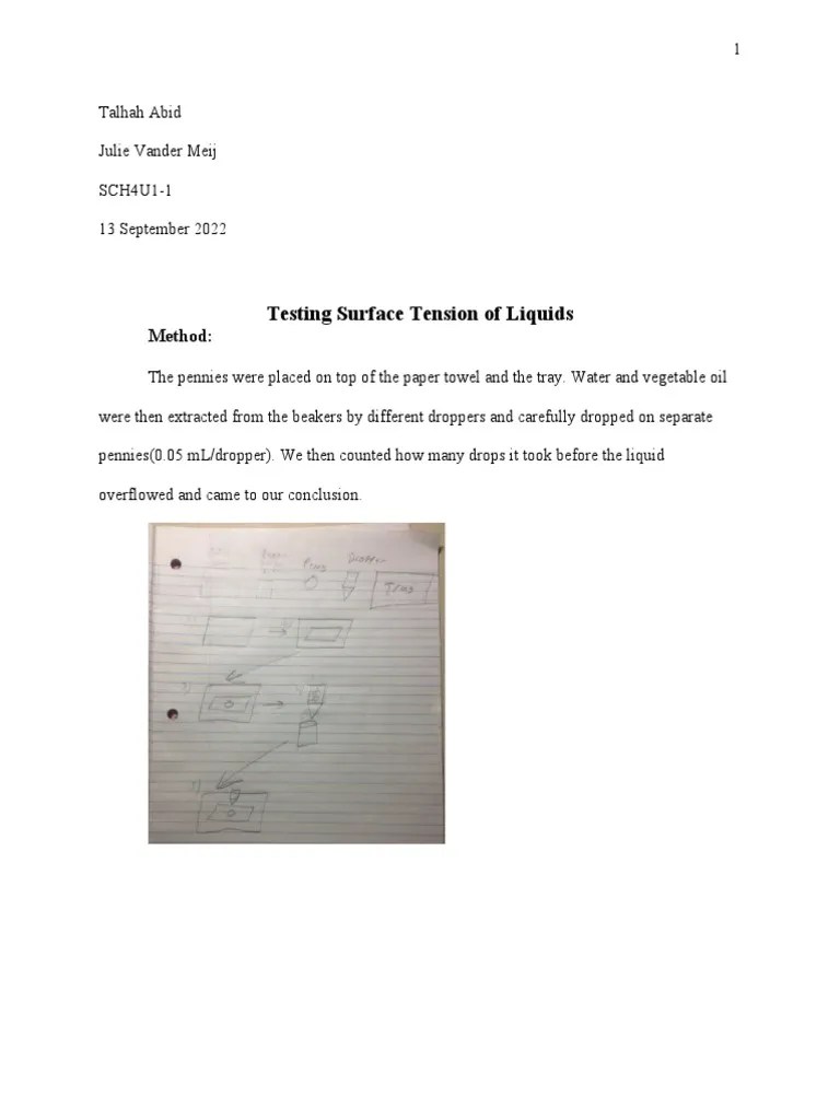 Surface Tension Lab Report GR 12 PDF Chemical Polarity Liquids
