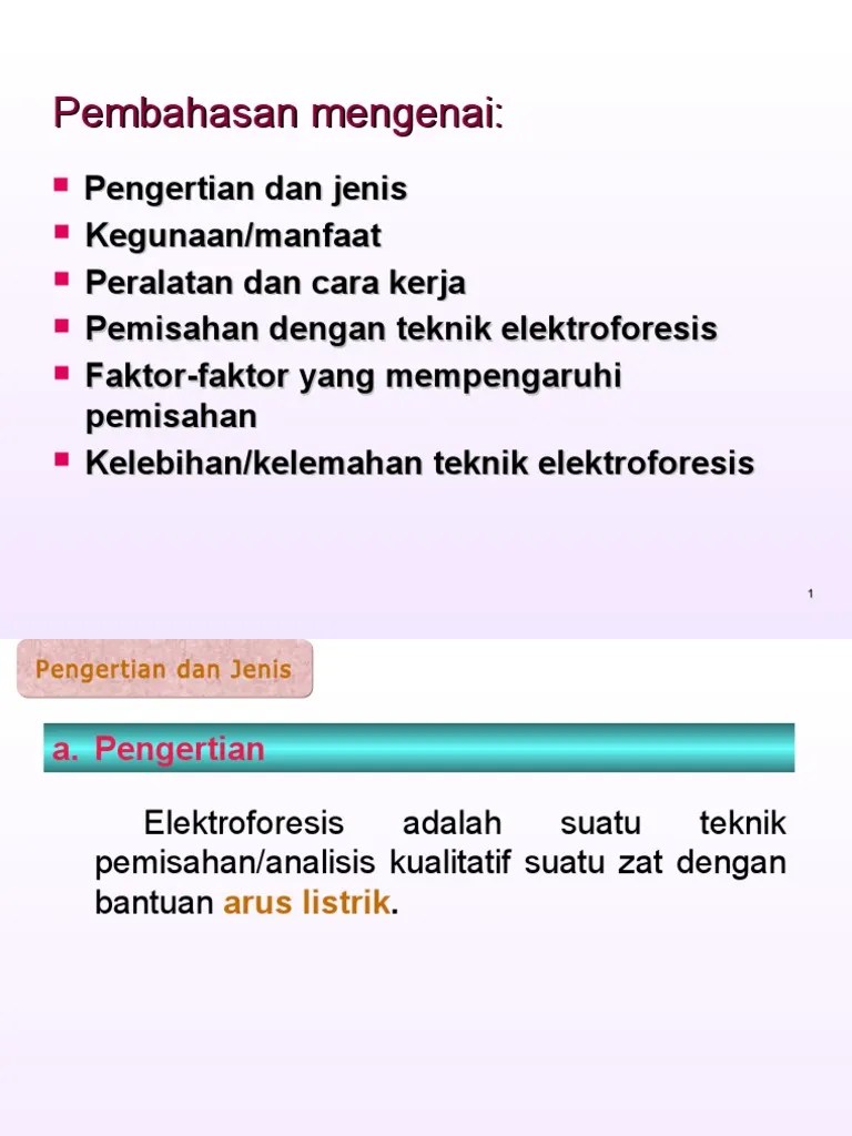 ELEKTROFORESIS | PDF