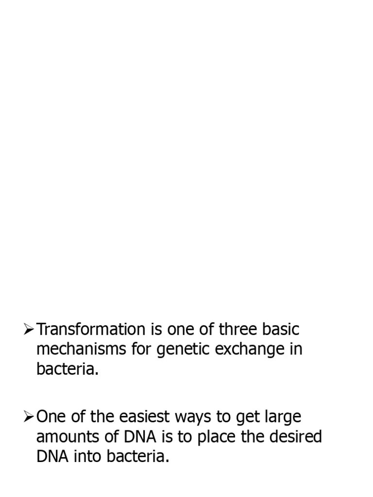 Bacterial Transformation | PDF | Transformation (Genetics) | Bacteriophage
