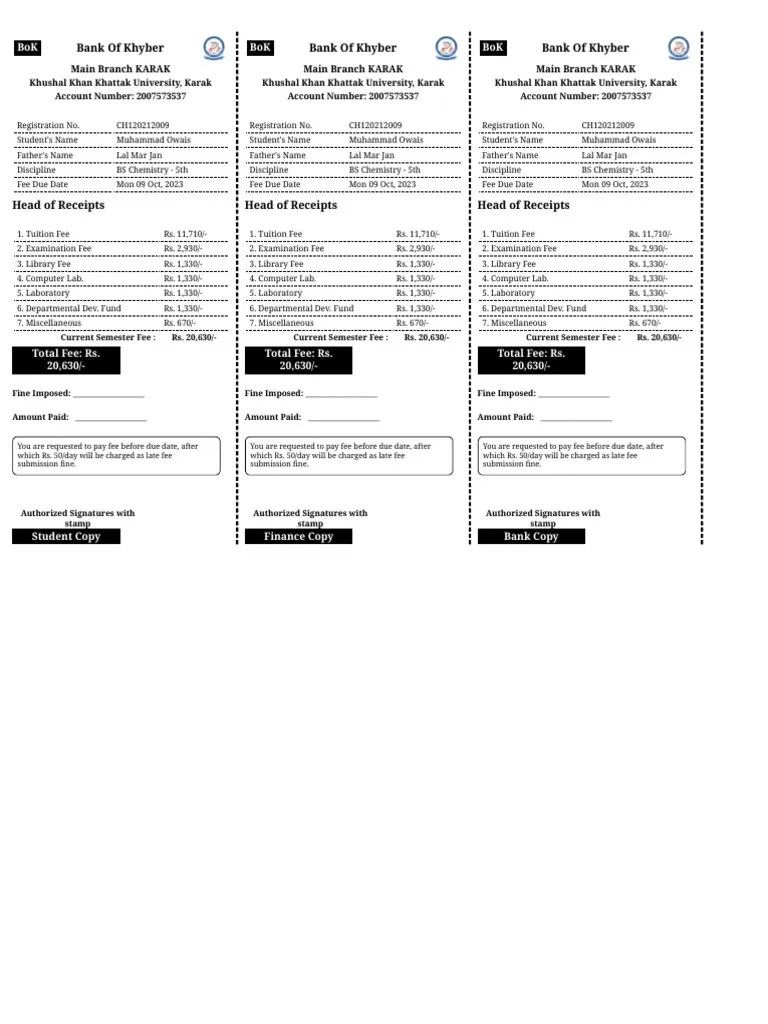 Student Fee Slip PDF Fee Personal Finance