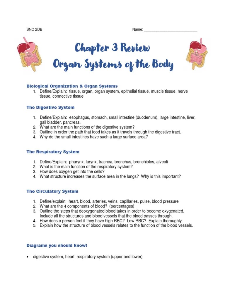 Chapter 3 Review | PDF