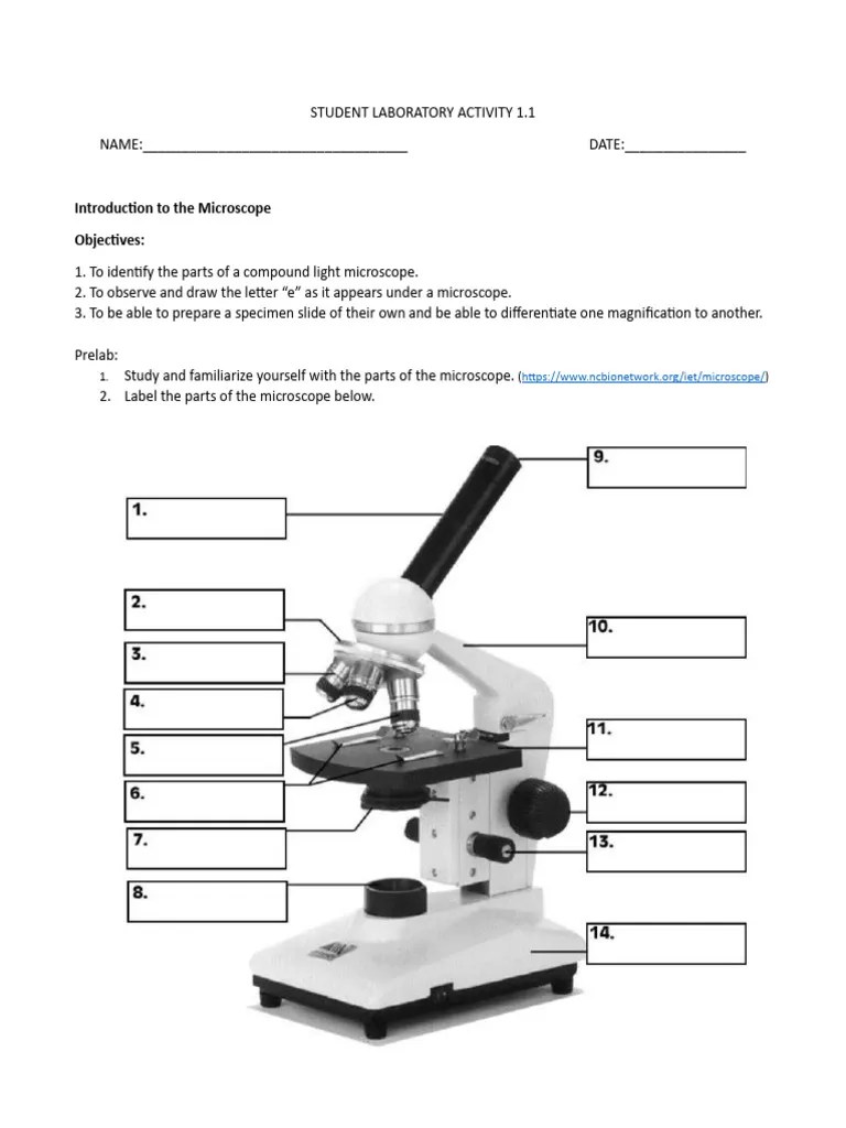 Student Laboratory Activity 1 Microscope Download Free PDF