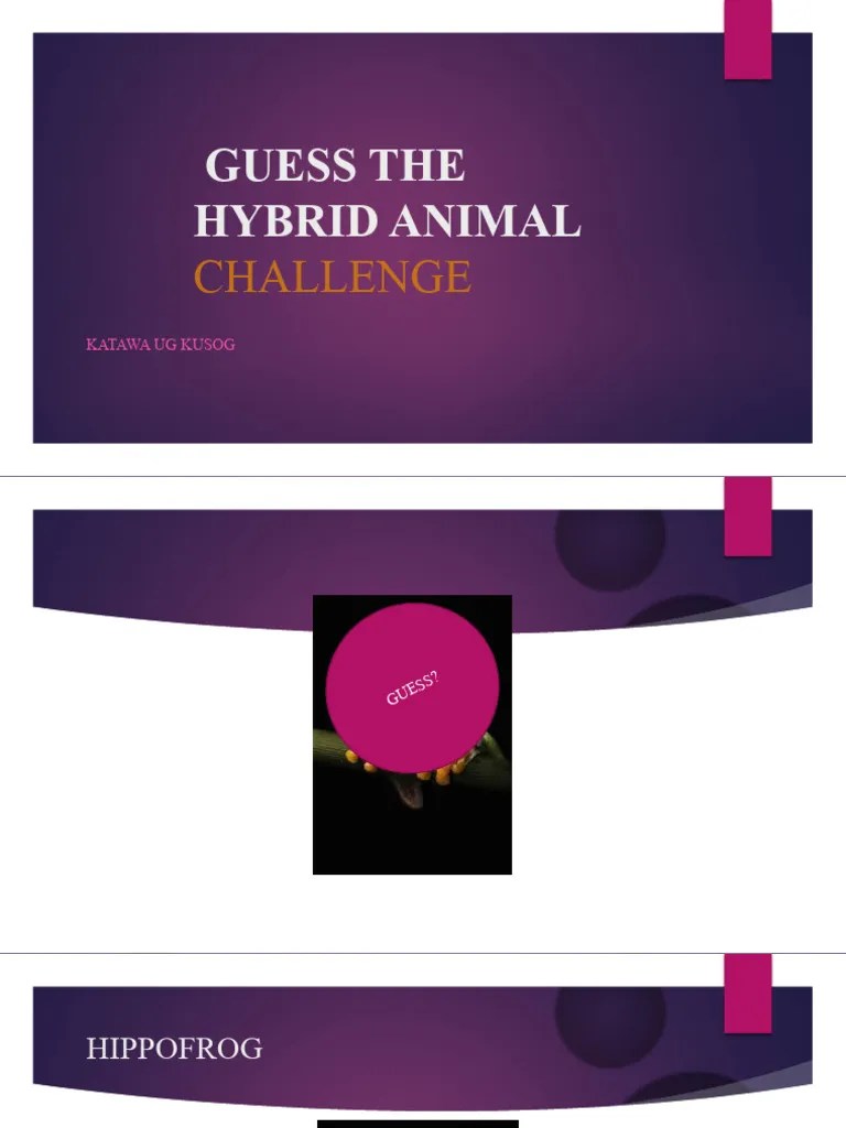 Guess The Hybrid Animal Challenge PDF