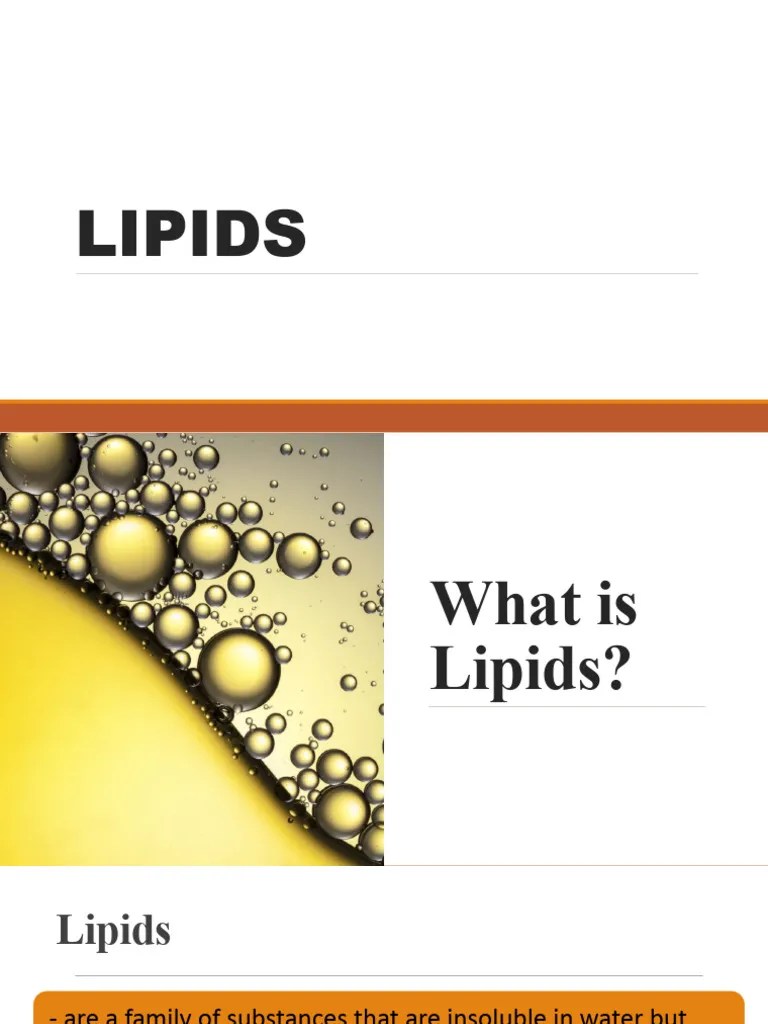 Lipids PDF Lipid Cholesterol