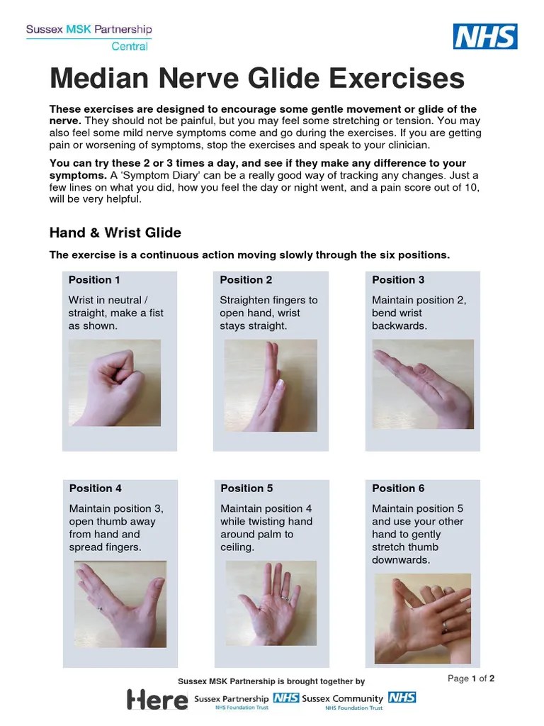 MedianNerveGlideExercisesmin PDF