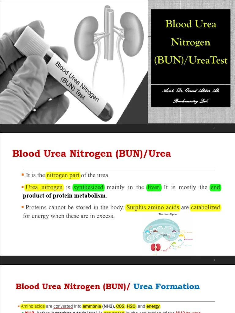 Lab 5 Lec Urea 2 PDF Urea Medical Specialties