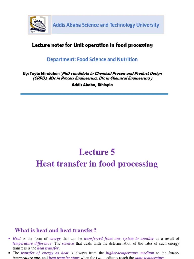 Lecture 5 Heat transfer in food processing PDF Heat Transfer