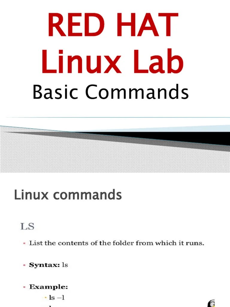 Basic Commands PDF