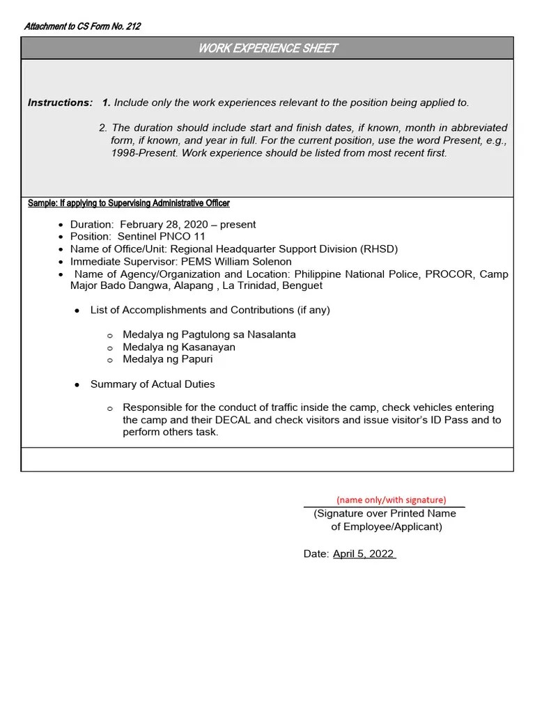 Sample Worksheet Experience | PDF