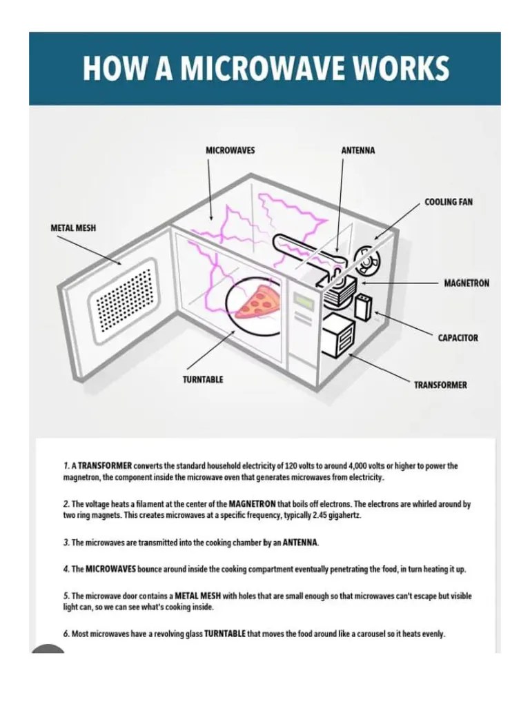 How A Microwave Works PDF