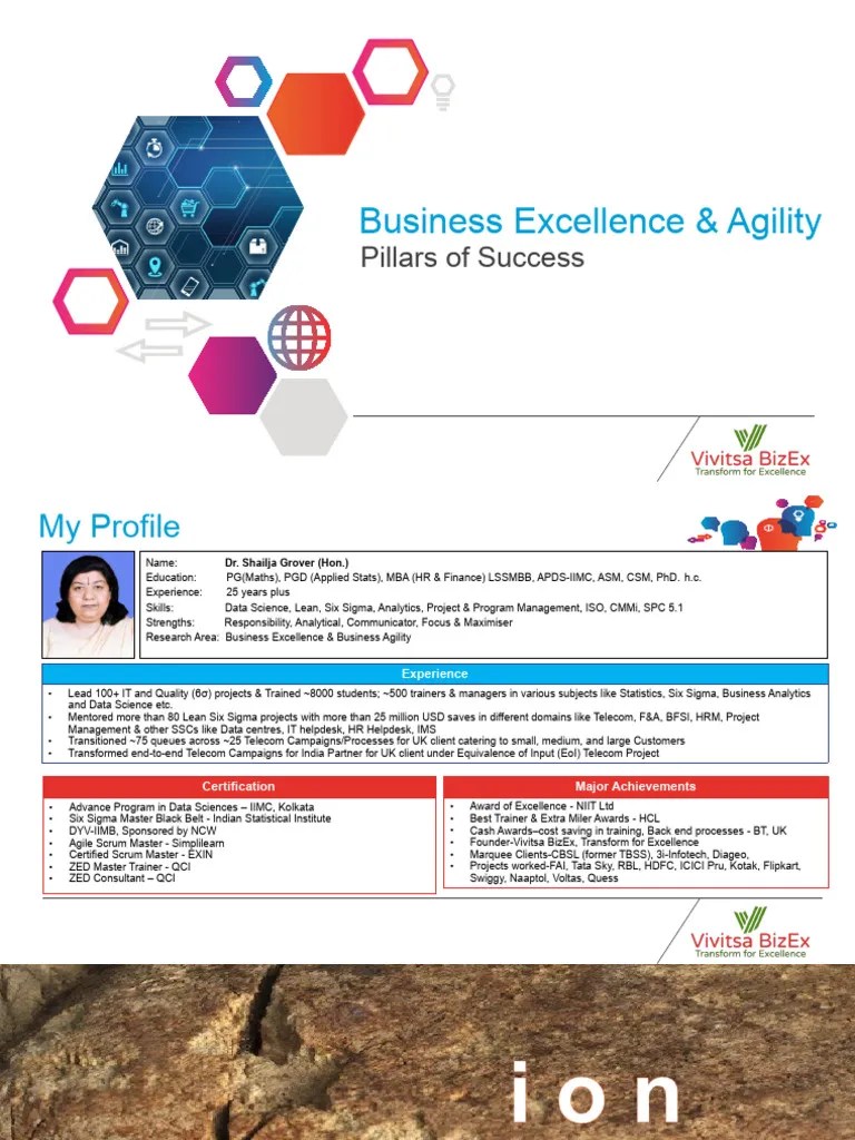 Business Excellence and Agility Pillars of Success PDF