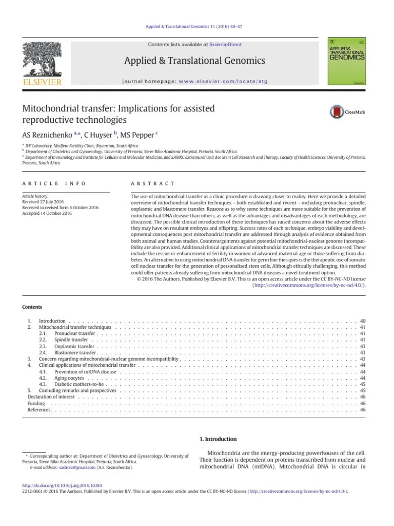 Blastomere, Pronuclear, Spindle, Ooplasm, Transfer Techniques PDF Mitochondrial Dna