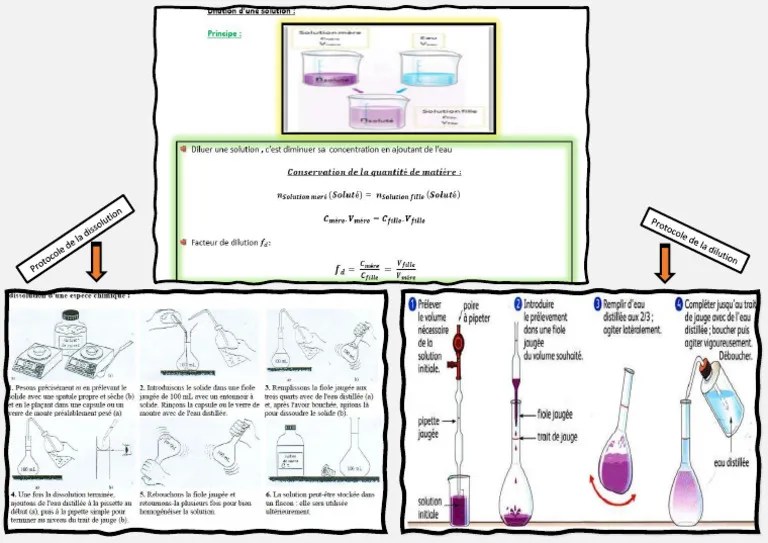 Dilution Et Protocol Experimental PDF