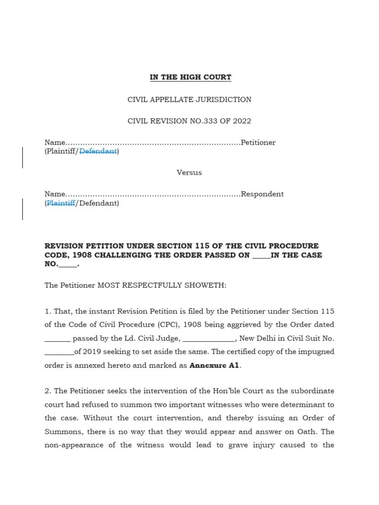 Revision Petition PDF Lawsuit Witness