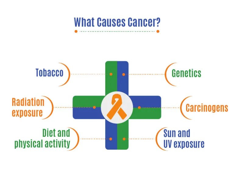 11 What Causes Cancer PDF