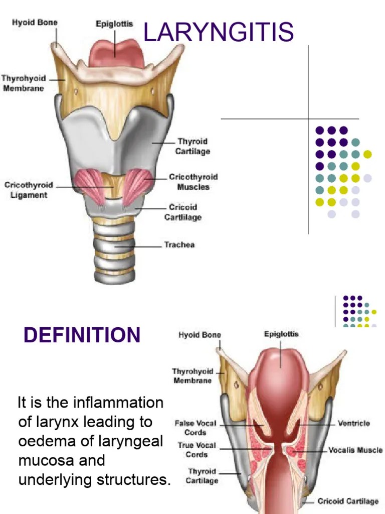 Laryngitis PDF Cough Epidemiology