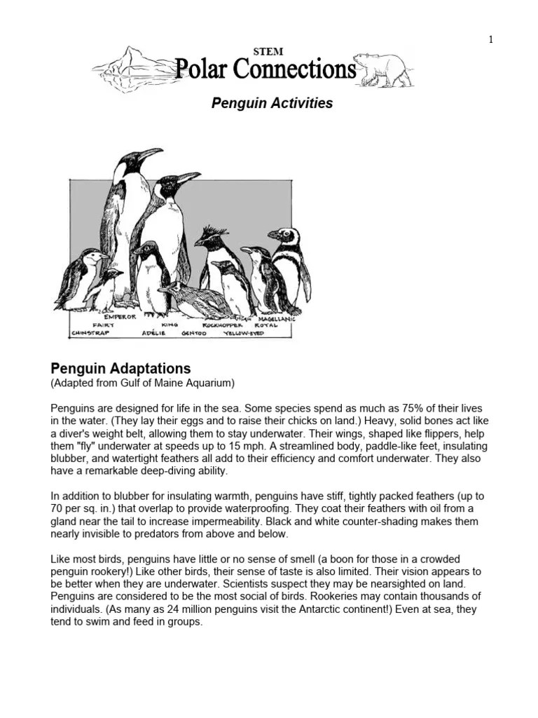 Penguin Activity PDF Social Science Science & Mathematics