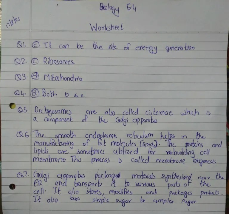 5.4 Worksheet Biology | PDF