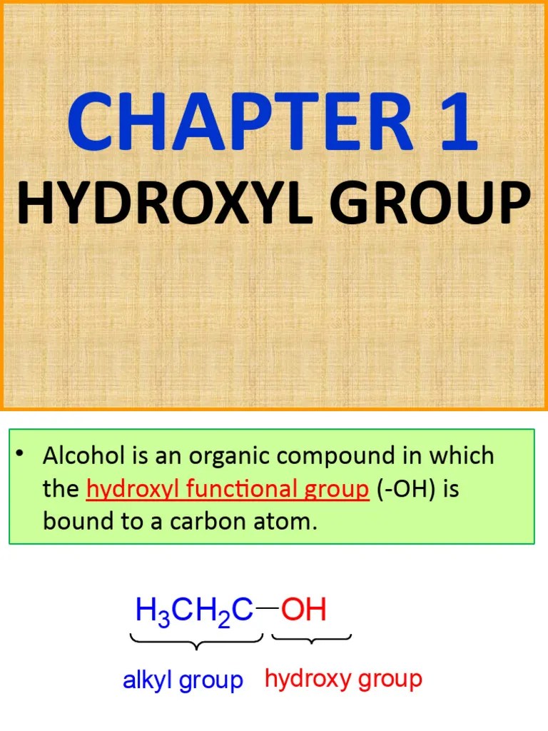 CHAPTER 1 HYDROXYL GROUP CHM132 PDF