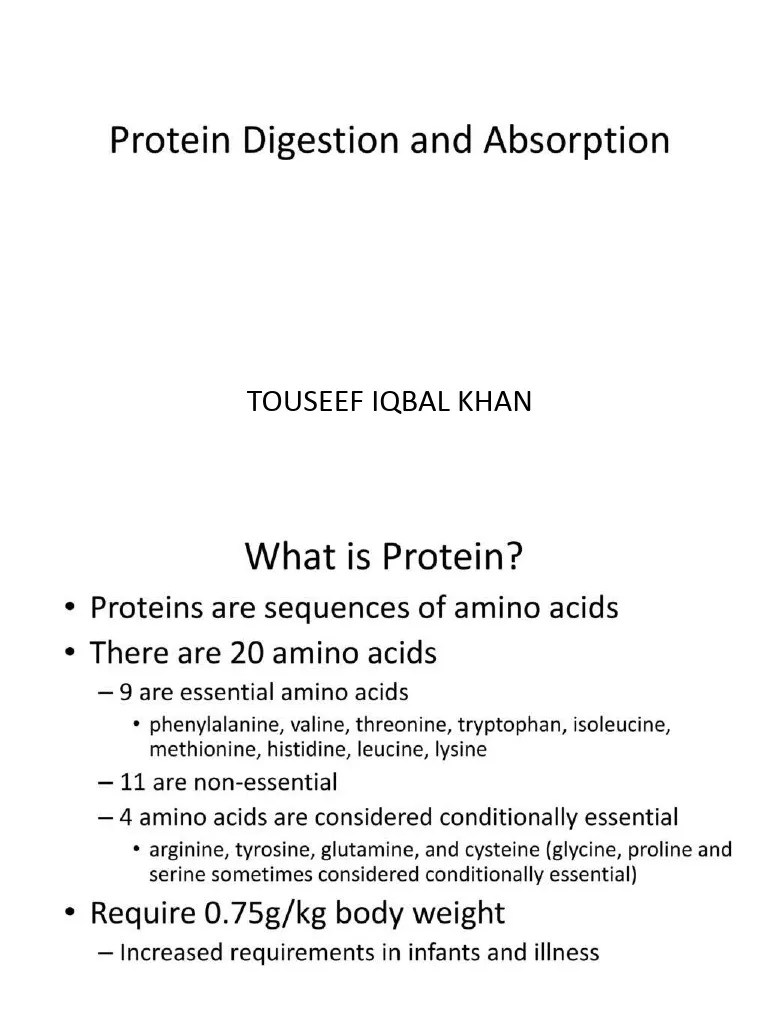 Macro Protein Digestion and Absorption PDF