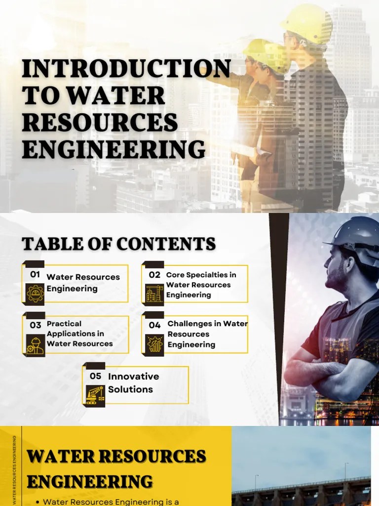 Water Resources Engineering PDF