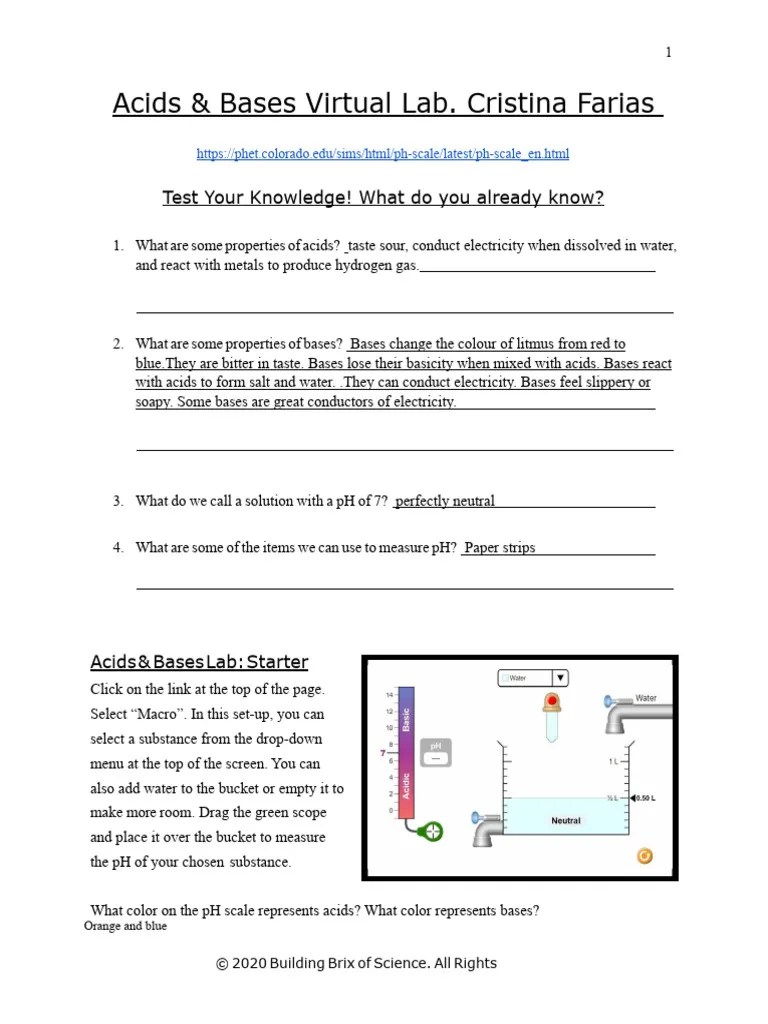 (Student Worksheet) Acids & Bases Virtual Lab PDF