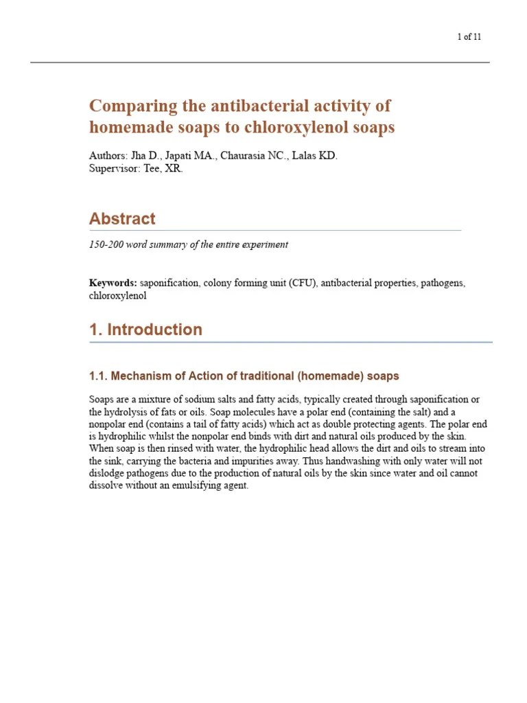 Chemistry Research On Soap PDF