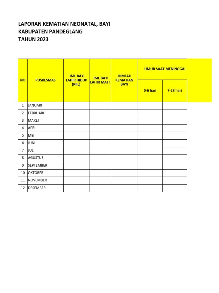 Lap Program Neonatal Baru PDF