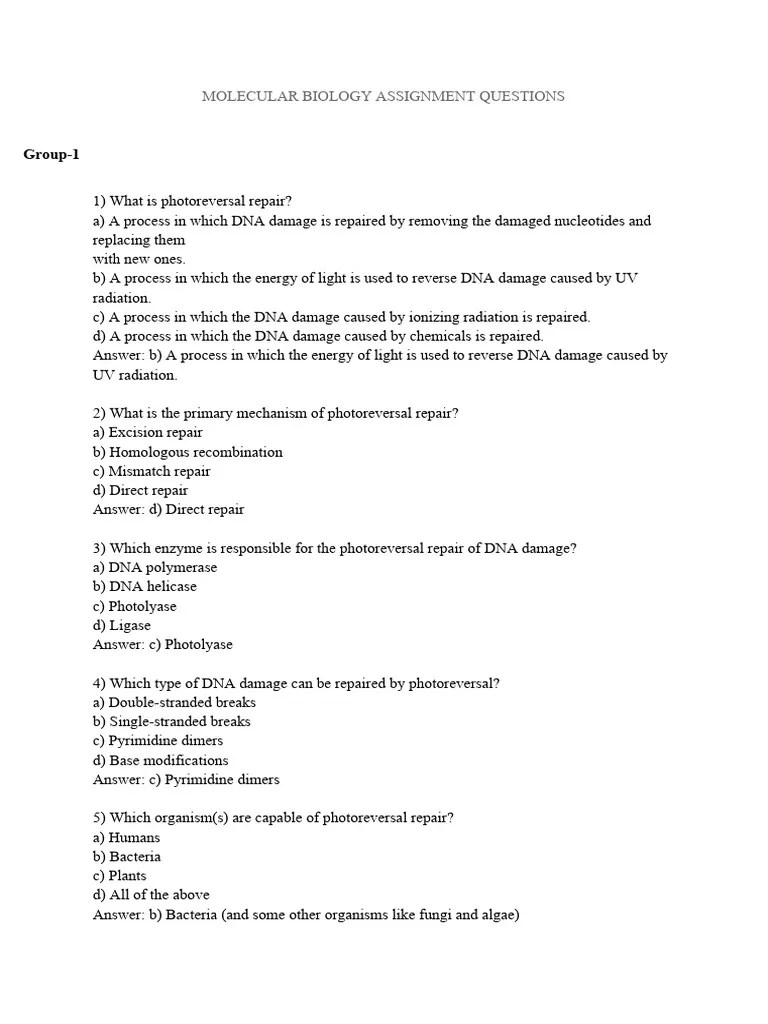 Molecular Biology Assignment Questions PDF Dna Repair Dna