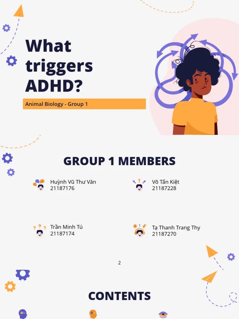 (G1) What Triggers ADHD PDF Attention Deficit Hyperactivity