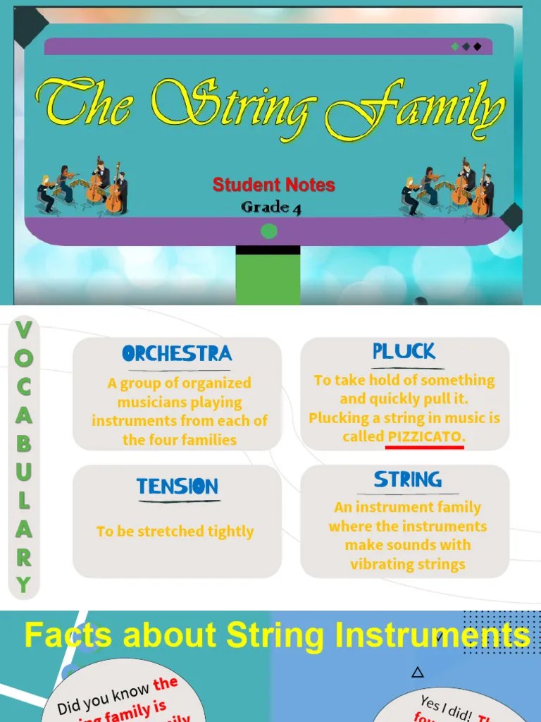 The String Family Student Notes (Grade 4) PDF String Instruments