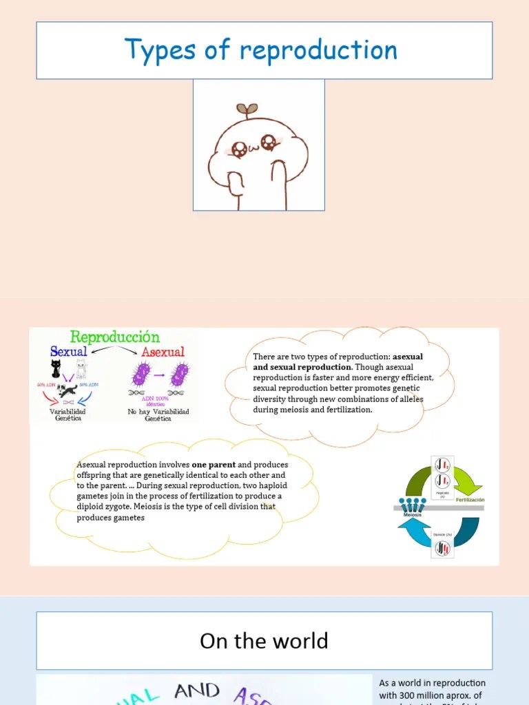 Types of Reproduction PDF