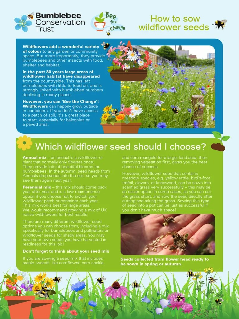 How to Sow Wildflower Seeds PDF Sowing Seed