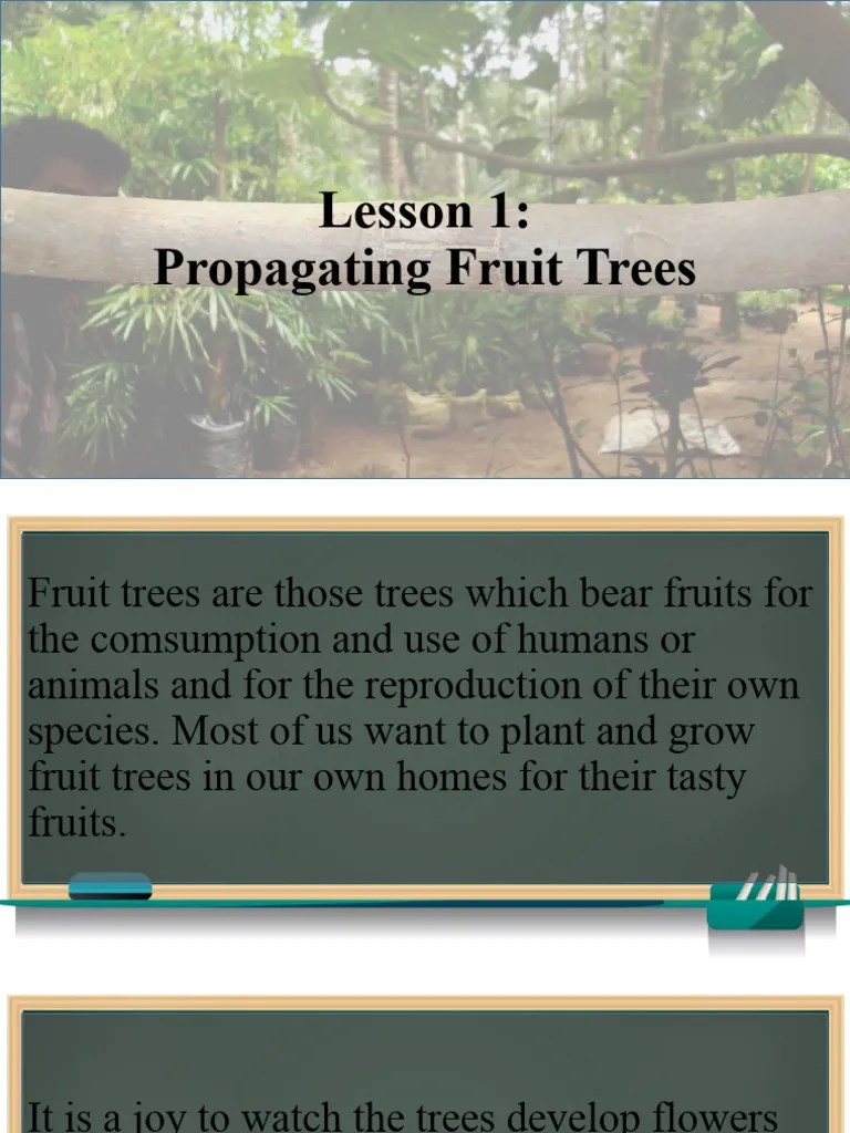 Lesson 1 Propagating Fruit Trees PDF Trees Seed