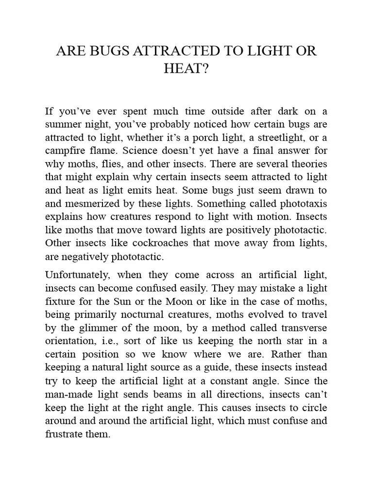 Are Bugs Attracted To Light or Heat PDF