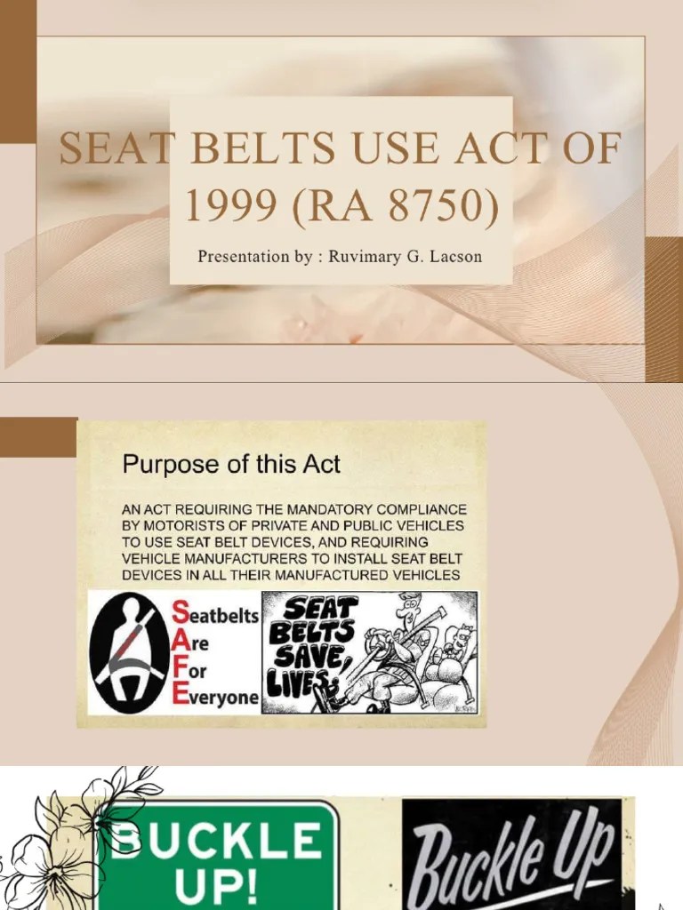 Seat Belt Use Act Reporter Ruvimary Lacson PDF
